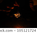 Sparkler of summer tradition 105121724