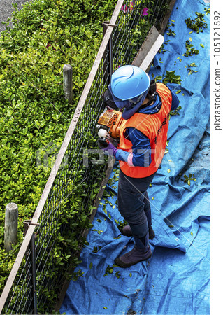 女園丁用電動修剪器修剪樹籬 女園丁用電動修剪器修剪樹籬 105121892