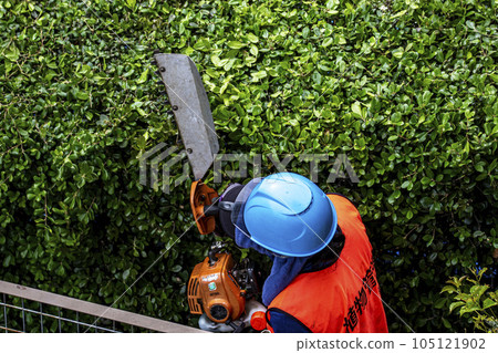 女園丁用電動修剪器修剪樹籬 105121902