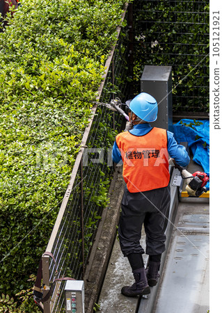 園丁用電動修枝剪整齊地修剪樹籬 園丁用電動修枝剪整齊地修剪樹籬 105121921