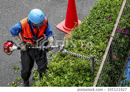 園丁用電動修枝剪整齊地修剪樹籬 105121927
