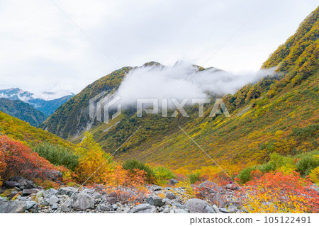 [Kinshu] Karasawa Cirque in the fall foliage season wrapped in fog [Nagano Prefecture] 105122491