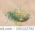 水彩畫的組植物懸掛 105122742