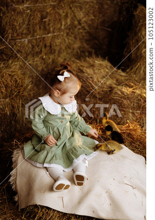 A little girl in a green dress sits in a rural barn on the hay with a duckling. A little girl in a green dress sits in a rural barn on the hay with a duckling. 105123002