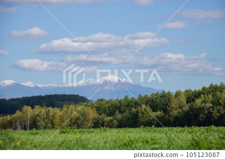 秋天山坡領域和藍天 秋天山坡領域和藍天 105123087