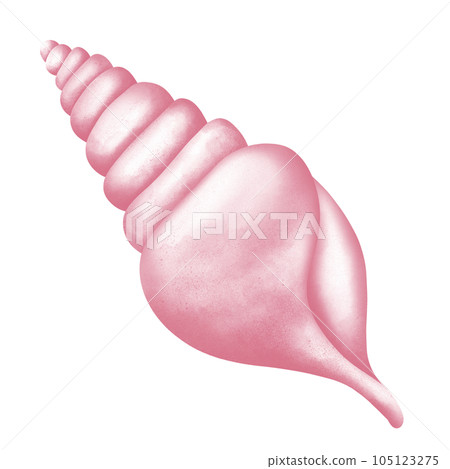 Shell of pink Shell of pink 105123275