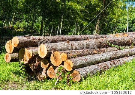 里山堆積著無數木材 105123612