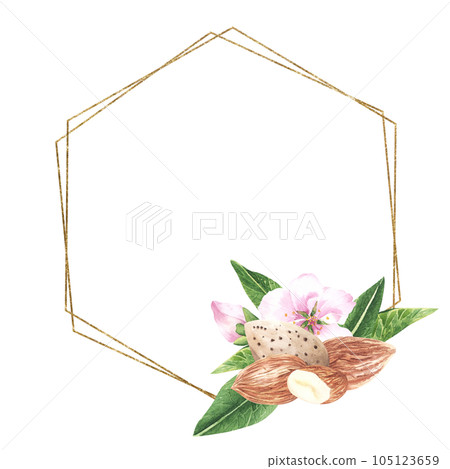 Hexagon golden frame of nuts and leaves almonds. Isolated on a white background. Watercolor hand drawing. For cards, packaging, invitation. 105123659