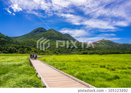 蓼原濕地_大分縣 九重山脈北側的濕地被拉姆薩爾公約登記為水禽棲息地。 蓼原濕地_大分縣 九重山脈北側的濕地被拉姆薩爾公約登記為水禽棲息地。 105123892