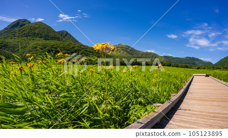 Tadewara Marsh_Oita Prefecture The marsh on the northern side of the Kuju Mountain Range is registered under the Ramsar Convention as a habitat for waterfowl. 105123895