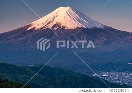 《Yamanashi Prefecture》Mt.Fuji in early summer, virgin forest of fresh green 105125054