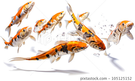 錦鯉魚的圖像 - 錦鯉魚的圖像 - No1-7 Generative AI 錦鯉魚的圖像 - 錦鯉魚的圖像 - No1-7 Generative AI 105125152