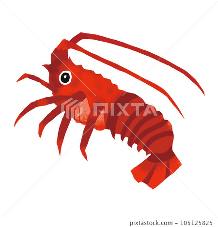 大龍蝦插畫素材 105125825