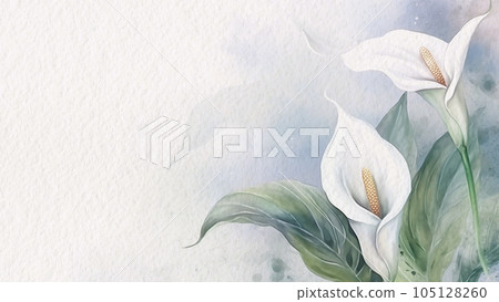 Abstract Floral White Peace Lily Flower&hellip; - Stock Illustration