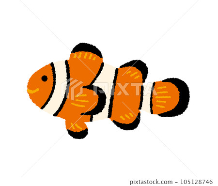 小丑魚的手繪插圖 105128746