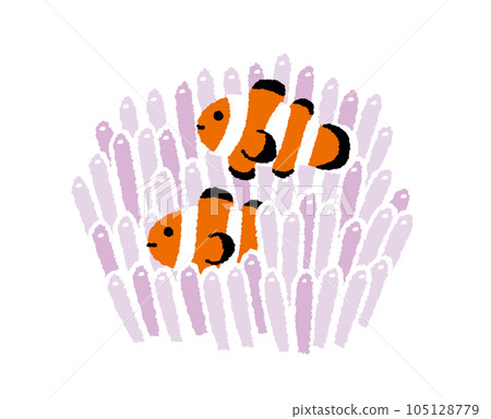 Hand drawn illustration of a clownfish hiding in an anemone 105128779