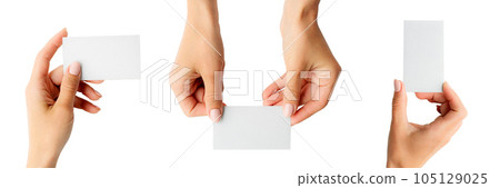 Set of white business cards 105129025