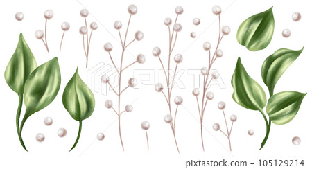 A set of green rose leaves and dried decorative flowers in watercolor style. Digital illustration on a white background. For invitations, date saving, gratitude or greeting card 105129214