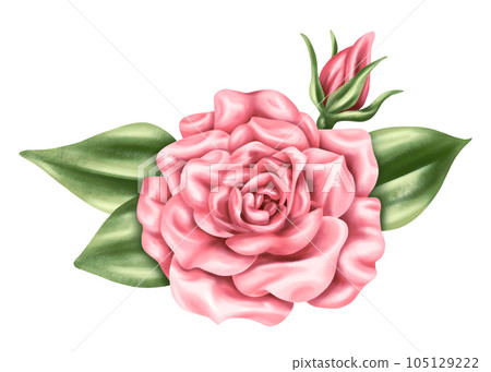 An elegant composition of pink roses and leaves in watercolor style. Digital illustration on a white background. For invitations, date saving, gratitude or greeting card An elegant composition of pink roses and leaves in watercolor style. Digital illustration on a white background. For invitations, date saving, gratitude or greeting card 105129222