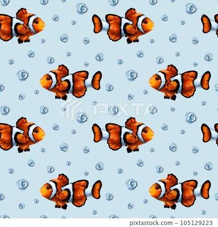 Seamless pattern with colorful tropical clown fish and water bubbles. Marine underwater life, travel, diving. Illustration for textiles, fabrics, banners, wrapping paper, wallpaper Seamless pattern with colorful tropical clown fish and water bubbles. Marine underwater life, travel, diving. Illustration for textiles, fabrics, banners, wrapping paper, wallpaper 105129223