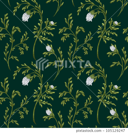 Seamless pattern with wildflowers with white buds. Floral background for textiles, fabrics, banners, wrapping paper and other designs. Digital illustration on a green background 105129247
