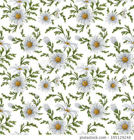 Seamless hand drawn pattern with white chamomiles. Flower background for textiles, fabrics, banner, wrapping paper and other designs. Digital illustration on white background Seamless hand drawn pattern with white chamomiles. Flower background for textiles, fabrics, banner, wrapping paper and other designs. Digital illustration on white background 105129248