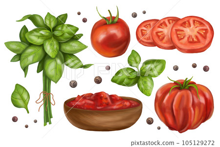 A set of ripe red tomatoes: vegetable fruits, slices, basil leaves, pepper, a plate of sauce. Digital illustration on a white background. Farmer's harvest of healthy organic products 105129272