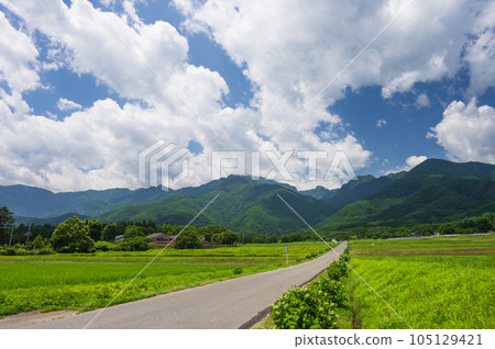 通往南阿爾卑斯山的筆直道路 105129421