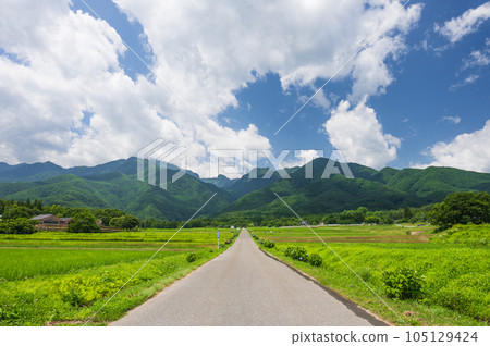 A straight road leading to the mountains of the Southern Alps A straight road leading to the mountains of the Southern Alps 105129424