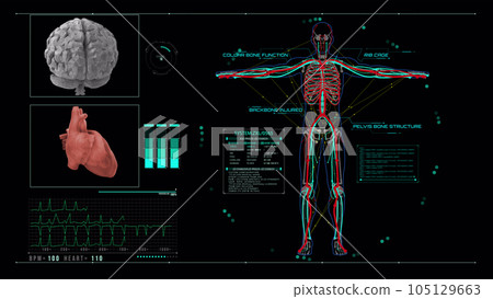 Human heart scan animation. Heart anatomy with futuristic interface. Hospital research. Futuristic hi-tech screen. Holographic medical application interface. Seamless loop. 105129663