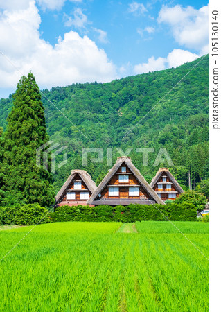 夏川白川鎮 夏川白川鎮 105130140