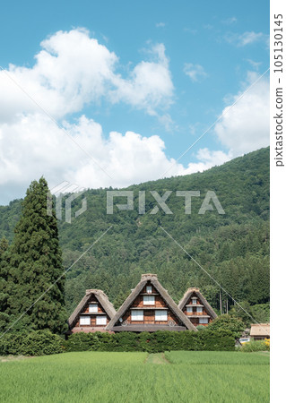 Summer Shirakawa Town 105130145