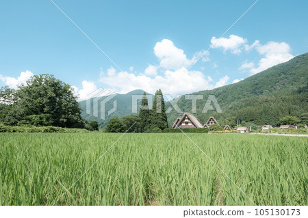 夏川白川鎮 105130173