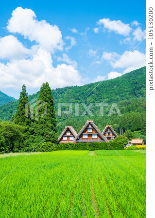 夏川白川鎮 夏川白川鎮 105130200