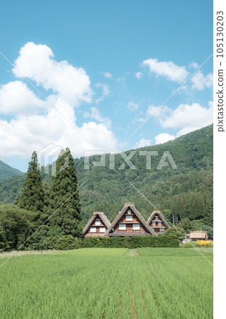 Summer Shirakawa Town 105130203