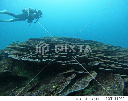 後島福江島潛水 後島福江島潛水 105131011