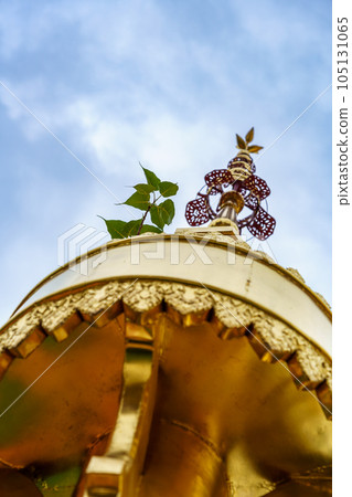 Golden Umbrellas and Bodhi Tree Leaves at Wat Phra Sing Temple (Chiang Mai Province, Thailand) Golden Umbrellas and Bodhi Tree Leaves at Wat Phra Sing Temple (Chiang Mai Province, Thailand) 105131065