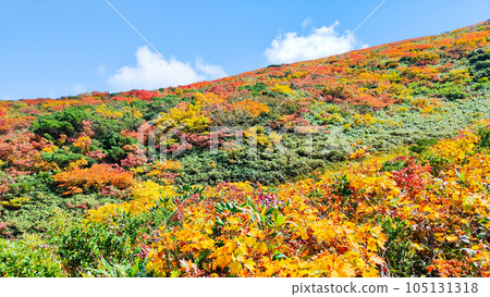 栗駒山秋季登山(Ubanuma路線) 栗駒山秋季登山(Ubanuma路線) 105131318