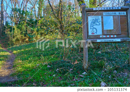 晴朗的冬日,神奈川縣川崎市多摩區的日向山入口。 晴朗的冬日,神奈川縣川崎市多摩區的日向山入口。 105131374