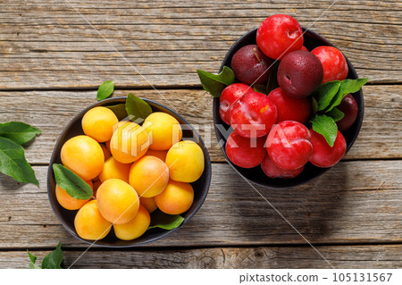 Colorful plums 105131567