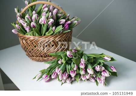 Striped purple fleming flag tulips lie on the table near the basket. Bouquet of flowers Striped purple fleming flag tulips lie on the table near the basket. Bouquet of flowers 105131949