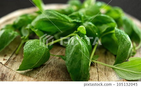 Fresh green basil leaves on a wooden board 105132045