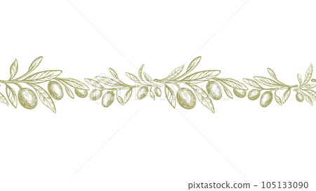 Olive border Vector seamless pattern Green fruits 105133090