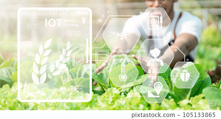 Hand touching plants green with and visual icon Smart farming on background. Science of plant research in nursery outdoor Hand touching plants green with and visual icon Smart farming on background. Science of plant research in nursery outdoor 105133865