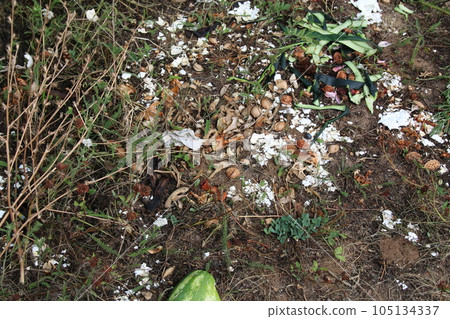Garden organic compost. Recycling plant and kitchen food waste. How to make organic fertilizer. Garden organic compost. Recycling plant and kitchen food waste. How to make organic fertilizer. 105134337