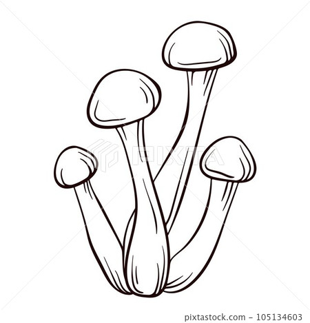 Honey agaric mushroom logo in line art style. Vector illustration isolated on a white background. Armillaria Mellea. 105134603