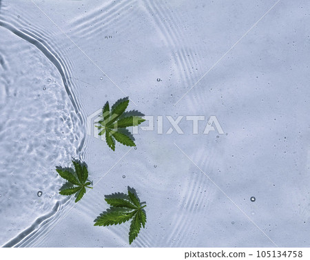 Blue water background with drops, waves and leaves of hemp 105134758
