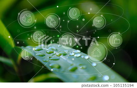 Icons related to forest conservation: ecology, water, sun, recycling, biomass power generation, thinning, utilization of domestic timber Icons related to forest conservation: ecology, water, sun, recycling, biomass power generation, thinning, utilization of domestic timber 105135194