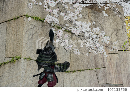 大阪城石牆、櫻花和鎧甲武士 大阪城石牆、櫻花和鎧甲武士 105135766