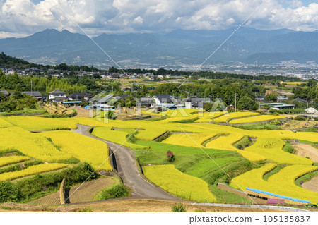 Terraced rice fields in Nakano, Minami Alps City 7 105135837